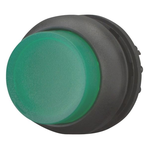 Illuminated pushbutton actuator, RMQ-Titan, Extended, momentary, green, Blank, Bezel: black image 6