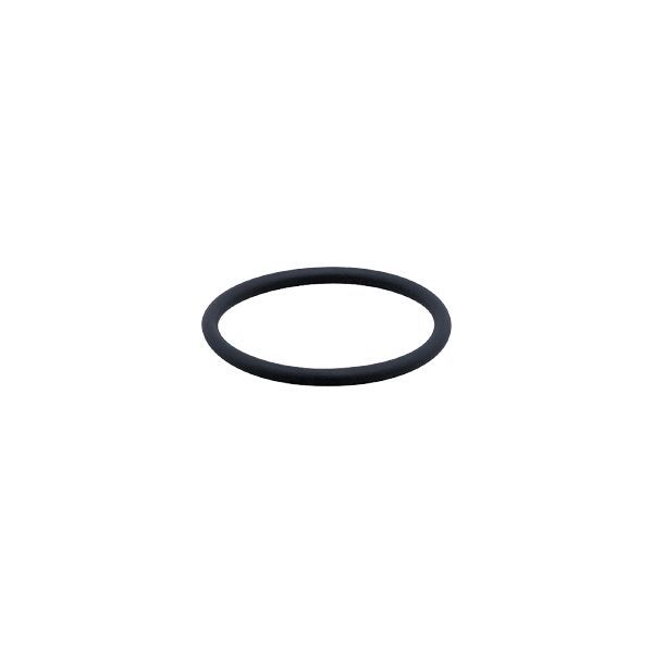 FKM VITON O-RING image 1