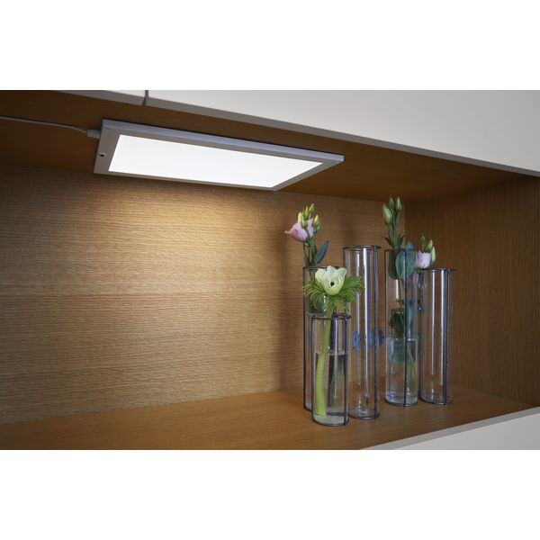 Cabinet LED Panel 300x200mm Two Light image 6