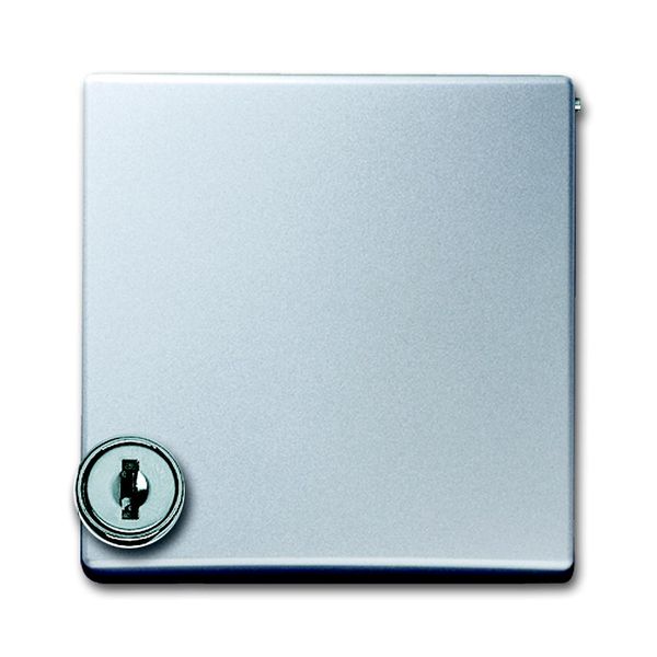 2118 GKSL-33 CoverPlates (partly incl. Insert) Flush-mounted, water-protected, special connecting devices Aluminium silver image 1