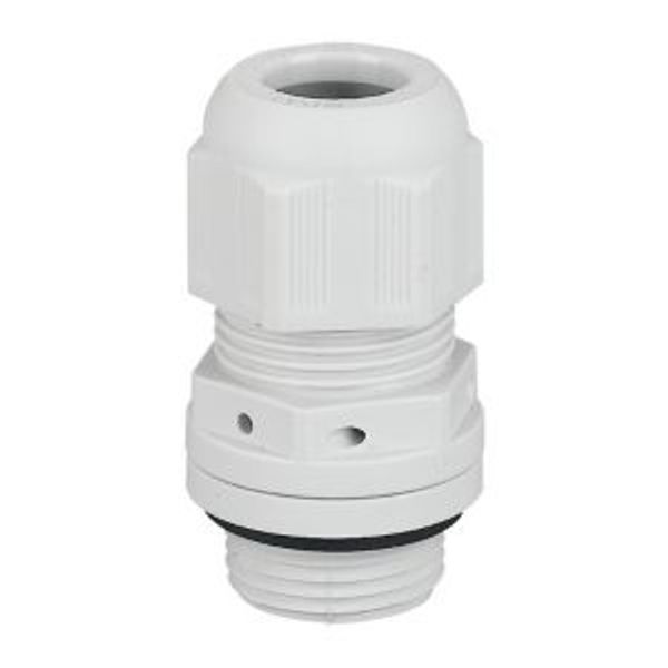 Cable gland, for ventilation, M20, RAL 7035, IP68 image 2
