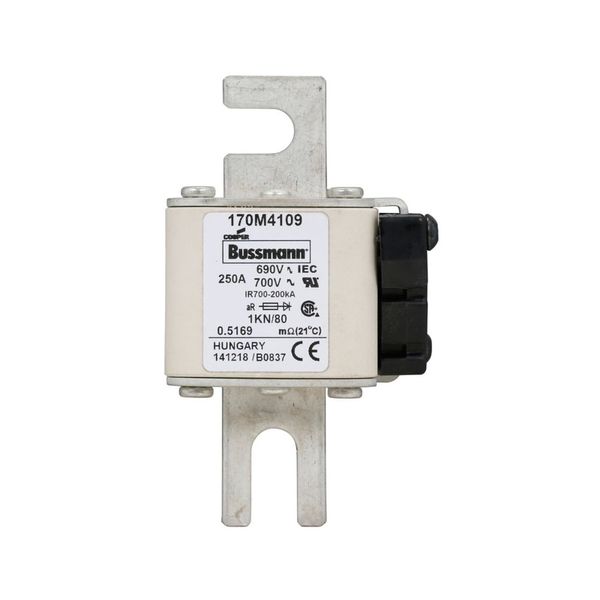 Fuse-link, high speed, 250 A, AC 690 V, DIN 1, 53 x 69 x 108 mm, aR, DIN, IEC, single indicator image 11