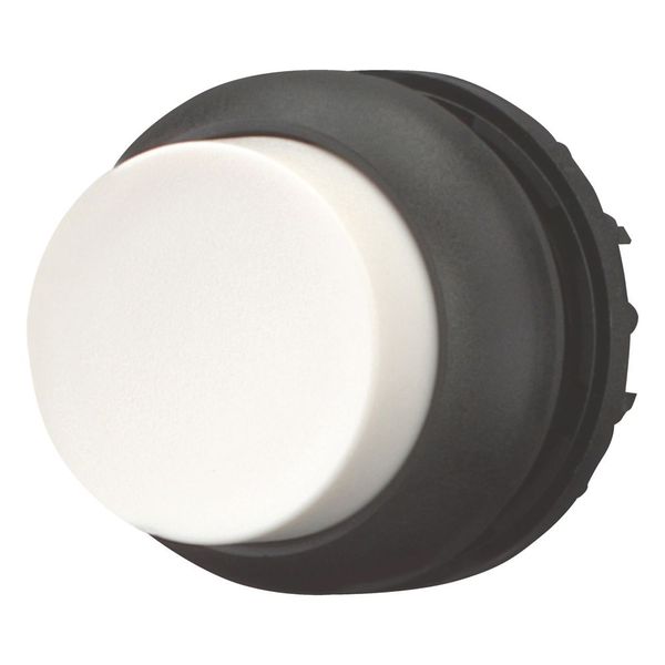 Pushbutton, RMQ-Titan, Extended, maintained, White, Blank, Bezel: black image 4