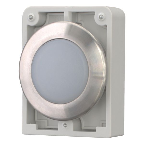 Indicator light, RMQ-Titan, flat, white, Front ring stainless steel image 3