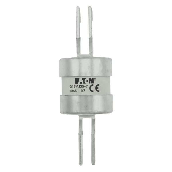 Utility fuse-link, LV, 315 A, AC 415 V, BS88/J, 38 x 110 mm, gL/gG, BS, 82mm fixing centres image 20