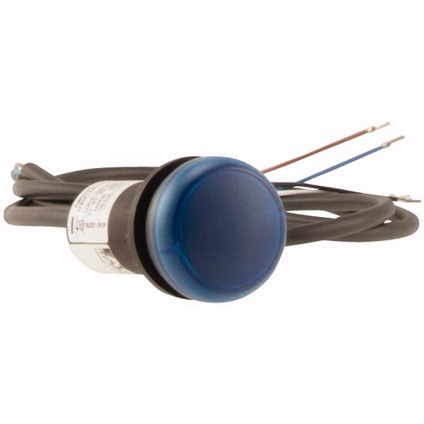 Indicator light, Flat, Cable (black) with non-terminated end, 4 pole, 3.5 m, Lens Blue, LED Blue, 24 V AC/DC image 4