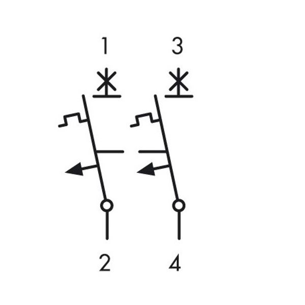 Miniature Circuit Breaker (MCB) AMPARO 6kA, B 13A, 2-pole image 3