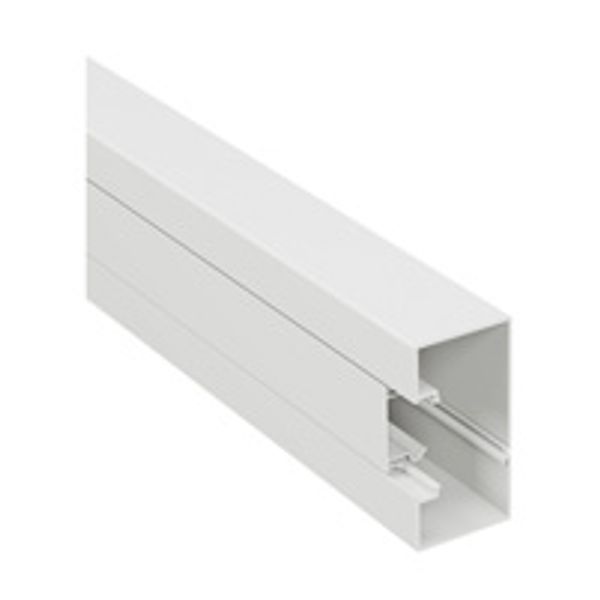 Trunking 45 100x50 2M image 1