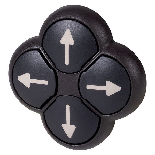 Position pushbutton, RMQ-Titan, Actuators non-flush, momentary, black, 4-fold, opposing pushbuttons not mechanically interlocked, Bezel: black, arrow image 3