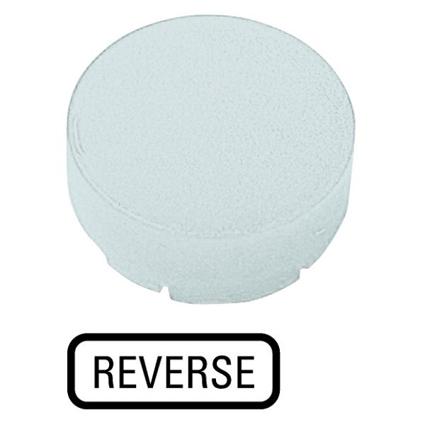 Button lens, raised white, REVERSE image 1