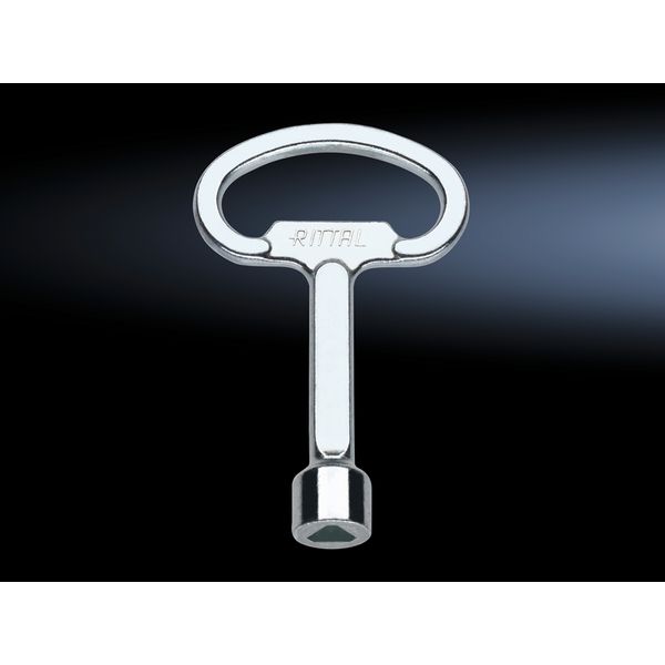 SZ Enclosure key, 8 mm triangular image 4