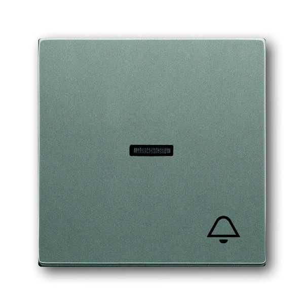 1789 KI-803 CoverPlates (partly incl. Insert) Busch-axcent®, solo® grey metallic image 1