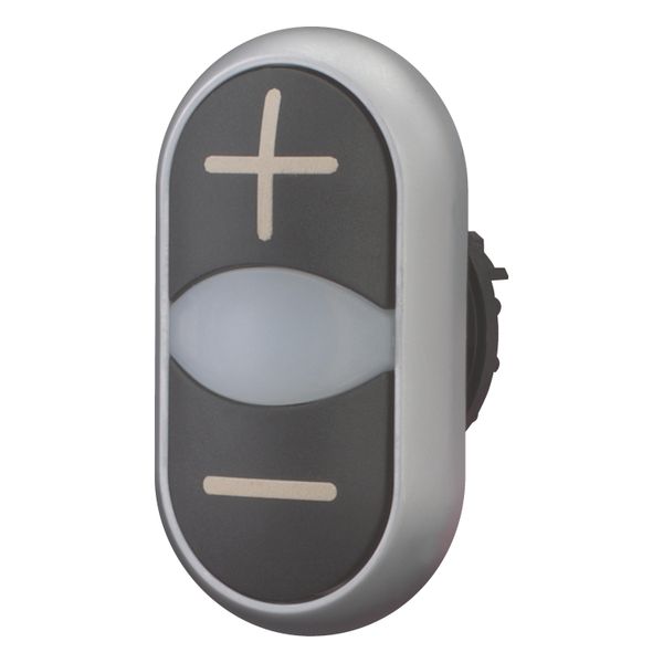 Double actuator pushbutton, RMQ-Titan, Actuators and indicator lights non-flush, momentary, White lens, black, black, inscribed, Bezel: titanium, arro image 2