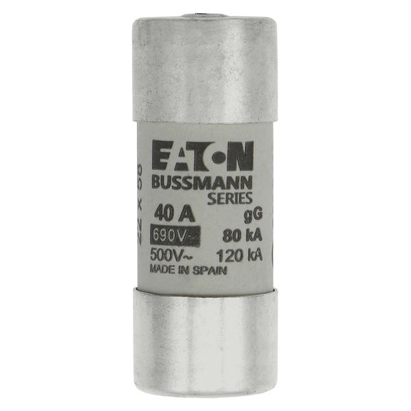 Fuse-link, LV, 40 A, AC 690 V, 22 x 58 mm, gL/gG, IEC, with striker image 8