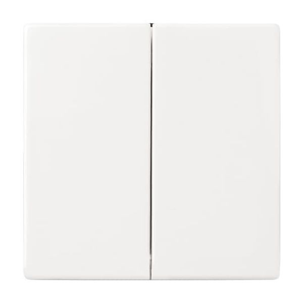 1789 LI-84 CoverPlates (partly incl. Insert) future®, Busch-axcent®, solo®; carat® Studio white image 5