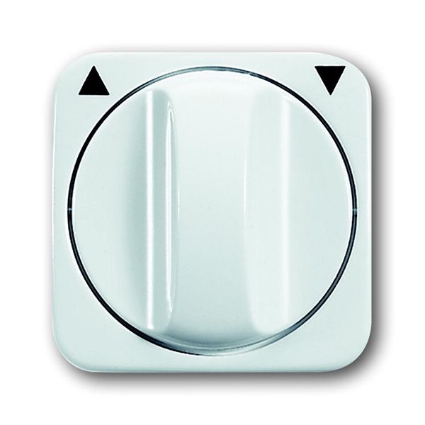 2542 DR-214 CoverPlates (partly incl. Insert) carat® Alpine white image 1