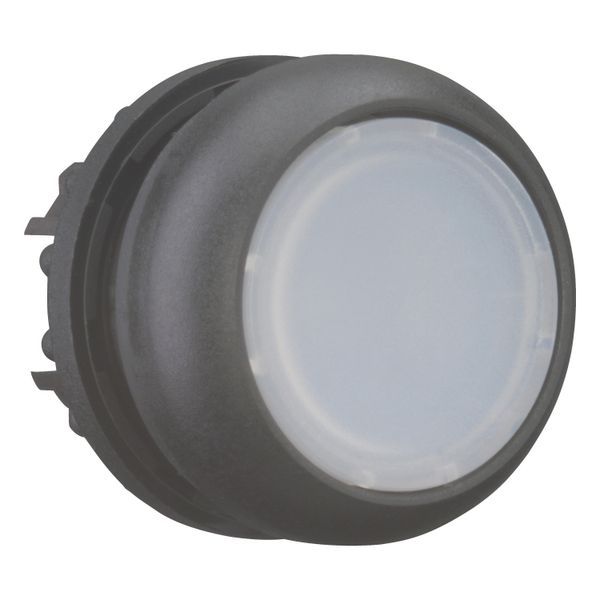 Illuminated pushbutton actuator, RMQ-Titan, Flush, maintained, White, Blank, Bezel: black image 7