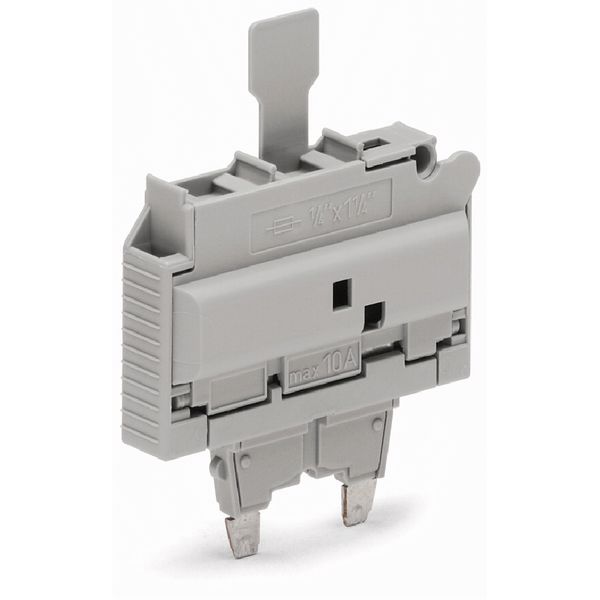 Fuse plug with pull-tab for glass cartridge fuse ¼" x 1¼" gray image 1