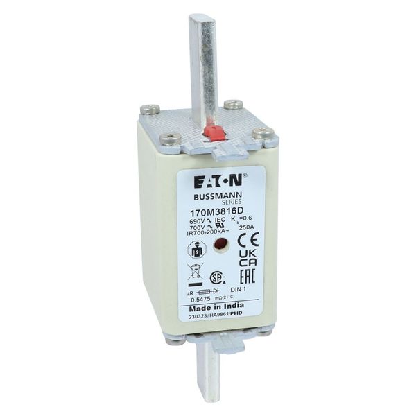 Fuse-link, high speed, 250 A, AC 690 V, DIN 1, aR, DIN, IEC, dual indicator, live gripping lugs image 20