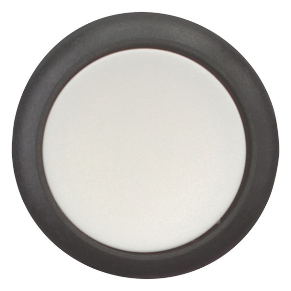 Pushbutton, Flat, maintained, 1 NC, 1 N/O, Screw connection, White, Blank, Bezel: black image 4