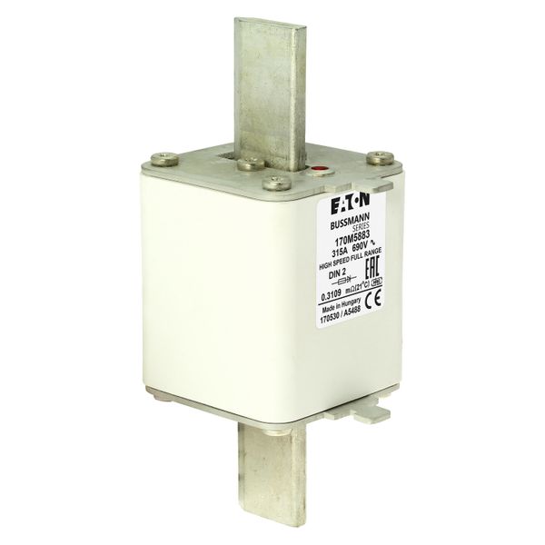 Fuse-link, high speed, 315 A, AC 690 V, DIN 2, 60 x 74 x 150 mm, gR, DIN, IEC, single indicator image 23