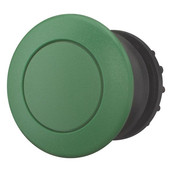Mushroom actuator, RMQ-Titan, Mushroom, maintained, Mushroom green, green, Blank, Bezel: black image 4