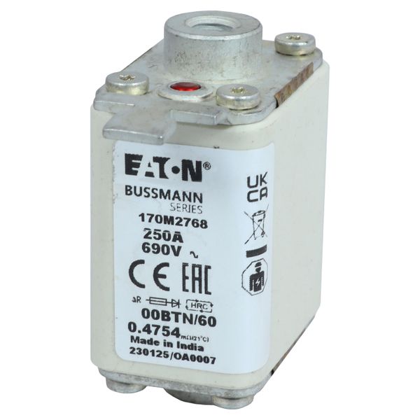 Fuse-link, high speed, 250 A, AC 690 V, size 00, 30 x 62 x 64 mm, aR, IEC, single indicator image 18