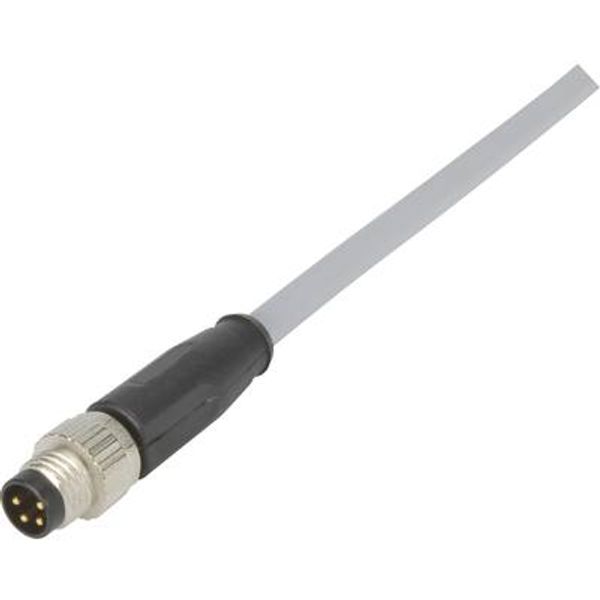 M8 Cable Assembly 4-poles st/- m/- 1,0m image 1