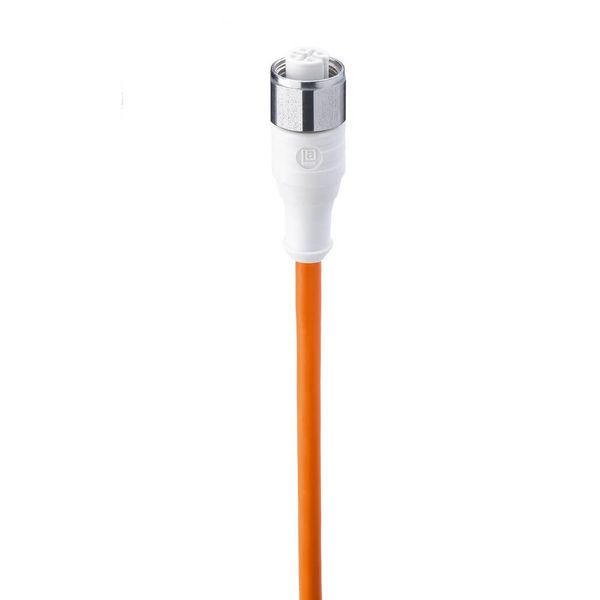 Sensor cable, M12 straight socket (female), 4-poles, PP detergent and image 2