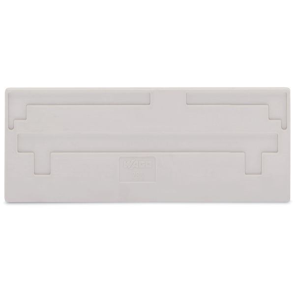 Separator plate 2 mm thick oversized light gray image 3