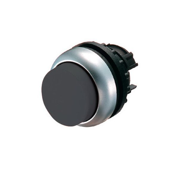 Pushbutton, RMQ-Titan, Extended, maintained, black, Blank, Bezel: titanium image 2