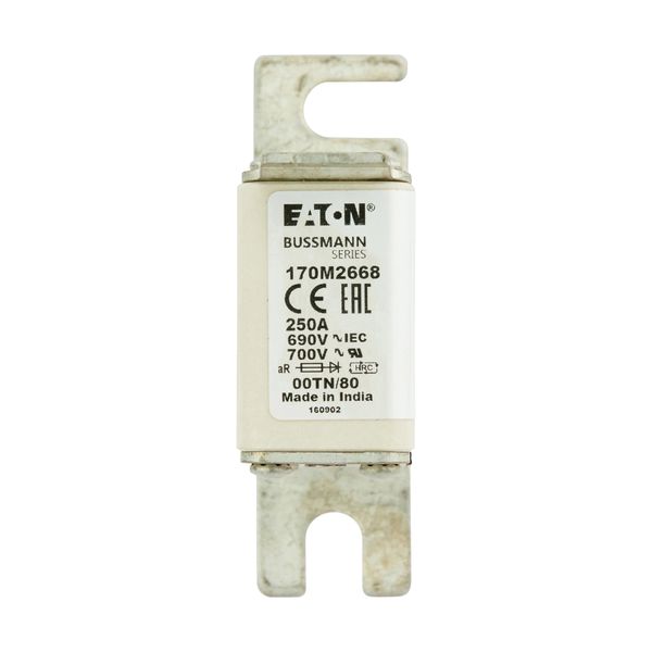 Fuse-link, high speed, 250 A, AC 690 V, DIN 00, aR, DIN, IEC, single indicator, live gripping lugs image 9