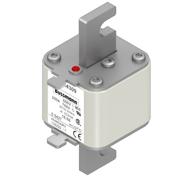 Fuse-link, high speed, 250 A, AC 690 V, size 1, 53 x 69 x 111 mm, aR, IEC, type T indicator image 2