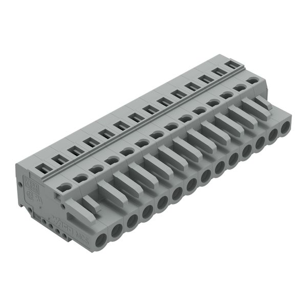 1-conductor female connector CAGE CLAMP® 2.5 mm² gray image 1