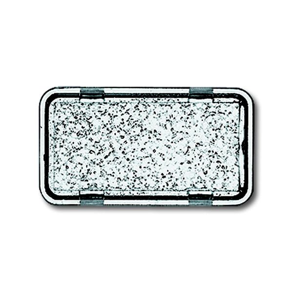 2622 N-101 CoverPlates (partly incl. Insert) carat® clear-transparent image 1