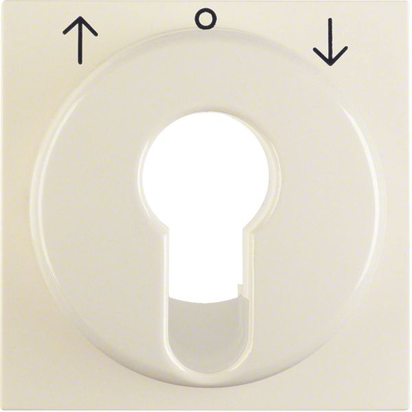 Centre plate for blind switch and key switch white glossy image 1