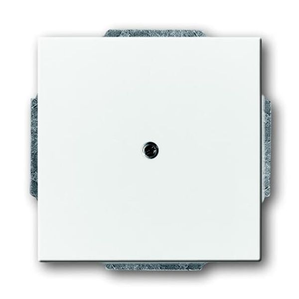 1766-84-500 CoverPlates (partly incl. Insert) future®, Busch-axcent®, solo®; carat® Studio white image 1