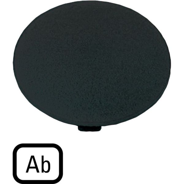 Button plate, mushroom black, AB image 3