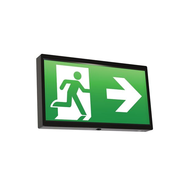 EndLED Lithium Exit Sign Maintained / Non-Maintained DALI Black image 1