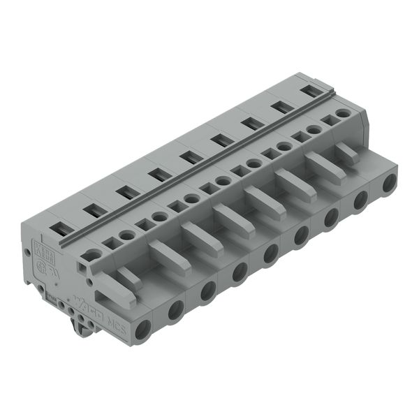 1-conductor female connector CAGE CLAMP® 2.5 mm² gray image 1