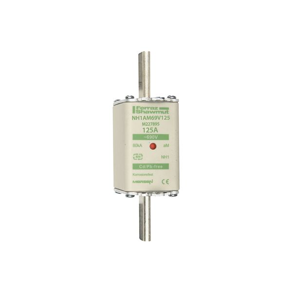 Fuse-link NH1 aM 690VAC 125A live tags Double indicator image 1