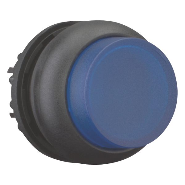 Illuminated pushbutton actuator, RMQ-Titan, Extended, momentary, Blue, Blank, Bezel: black image 8