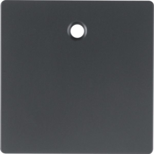 Centre plate f. pullcord switch/ push-button, Q.1/Q.3, ant. velvety la image 1