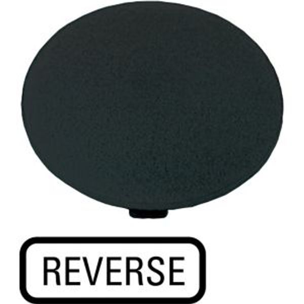 Button plate, mushroom black, REVERSE image 2