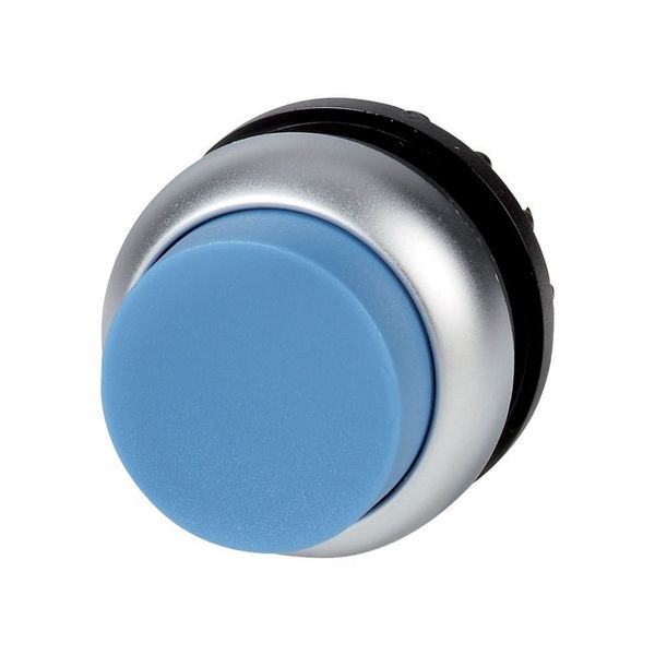 Pushbutton, RMQ-Titan, Extended, maintained, Blue, Blank, Bezel: titanium image 3