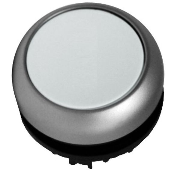 Push-button flat, stay-put, white image 1