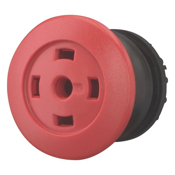 Mushroom actuator, RMQ-Titan, Mushroom, momentary, Mushroom red, Without button plate, Bezel: black image 5