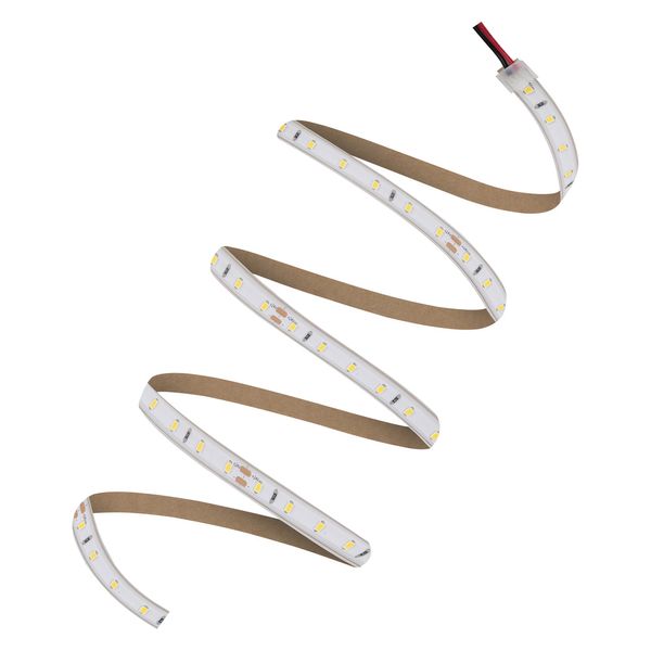 LED STRIP V 500 P -500/830/5/IP66 image 4