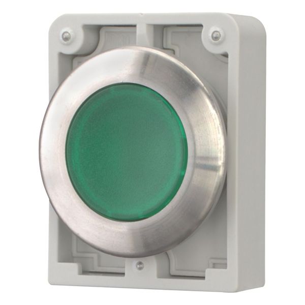 Illuminated pushbutton actuator, RMQ-Titan, flat, momentary, green, blank, Front ring stainless steel image 6