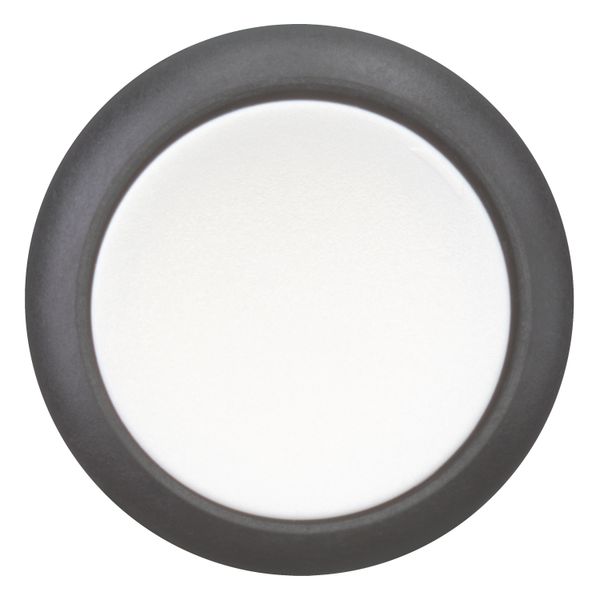 Pushbutton, RMQ-Titan, Flat, momentary, White, Blank, Bezel: black image 4